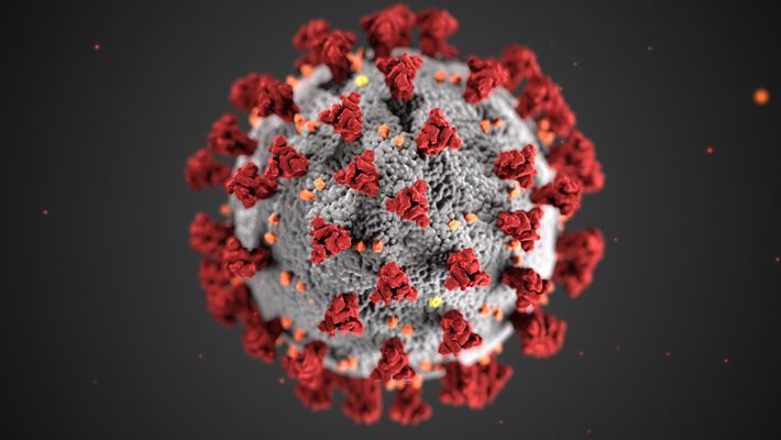 01_coronavirus_cdc_2871